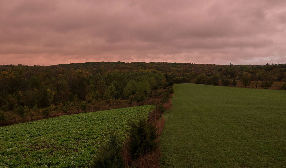 Developing a Food Plot Plan