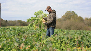 BioLogic Proving Grounds: Final Forage with Nitro Coat