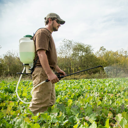 Food Plot Fertilizers and Management