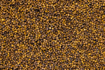 New Zealand Endurance Radish Food Plot Seed (FREE SHIPPING)