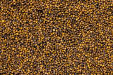 New Zealand Endurance Radish Food Plot Seed (FREE SHIPPING)