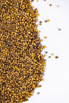 New Zealand Endurance Radish Food Plot Seed (FREE SHIPPING)
