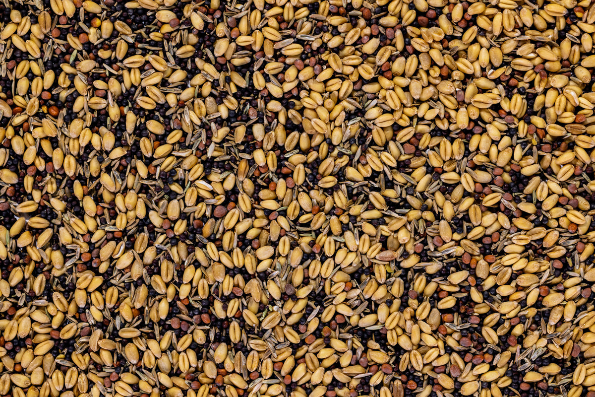 Hot Spot No Till Food Plot Seed - 1/4 Acre | Plant BioLogic
