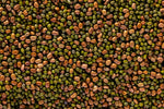 Biologic Spring Protein Peas Food Plot Seed - 9.99 Flat Rate Shipping