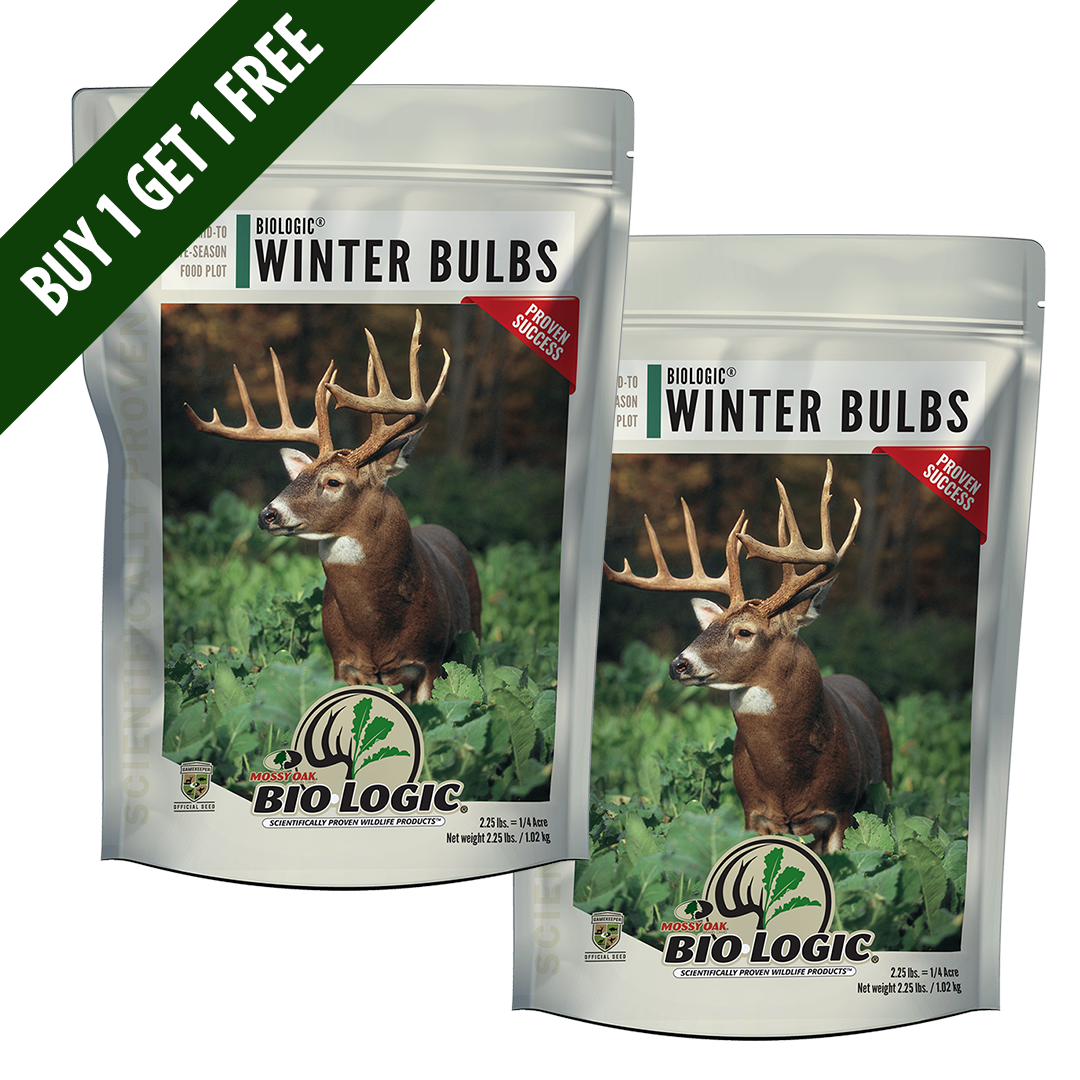 Plant BioLogic Winter Bulbs for Sale 1/4 Acre
