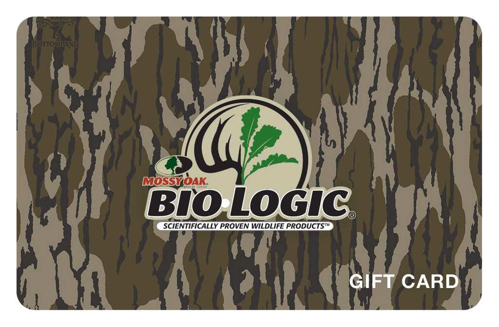 Mossy Oak Font