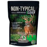 Perennial deer food plot seed  drought tolerant clover